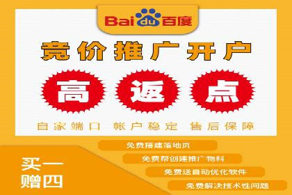 百度推广在电商行业的应用案例