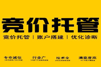 sem运营公司成功案例分享